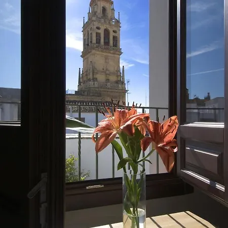 Entre 2 Mezquitas * Córdoba