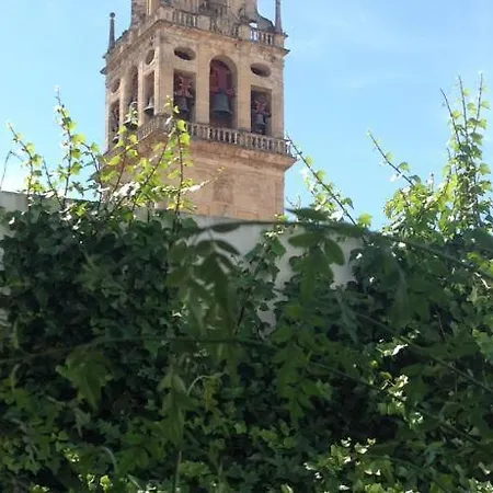 Apartment Entre 2 Mezquitas Cordoba