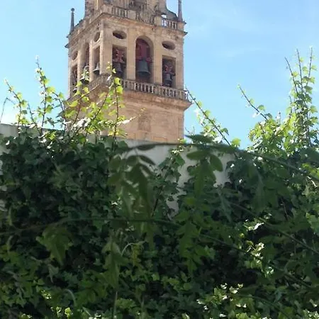 Apartmán Entre 2 Mezquitas Córdoba