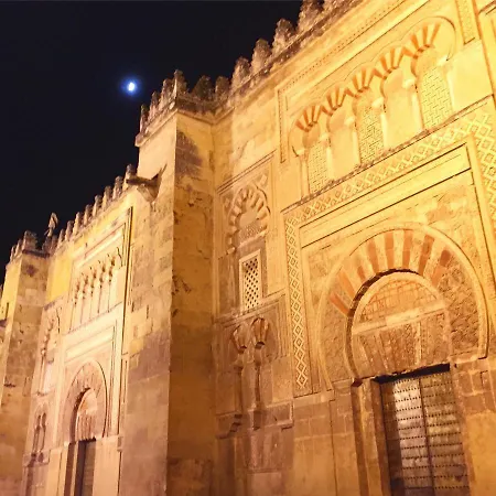 Apartmán Entre 2 Mezquitas