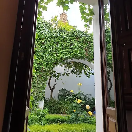 Entre 2 Mezquitas *