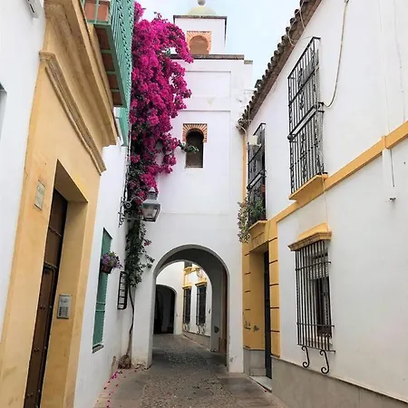 Entre 2 Mezquitas Cordoba
